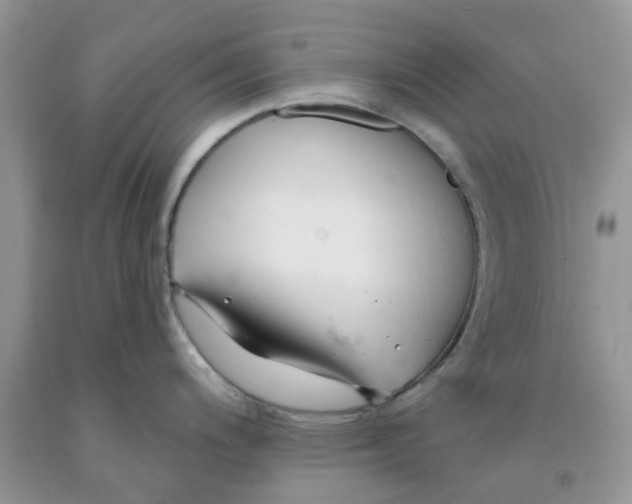 X0000091291200200709071025