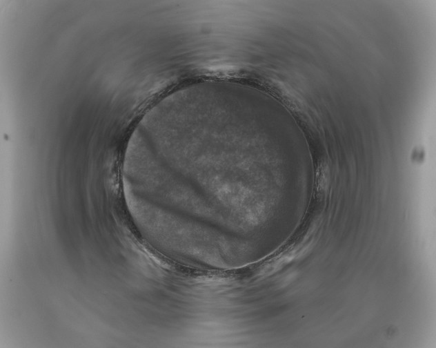 X0000091291202200709071025