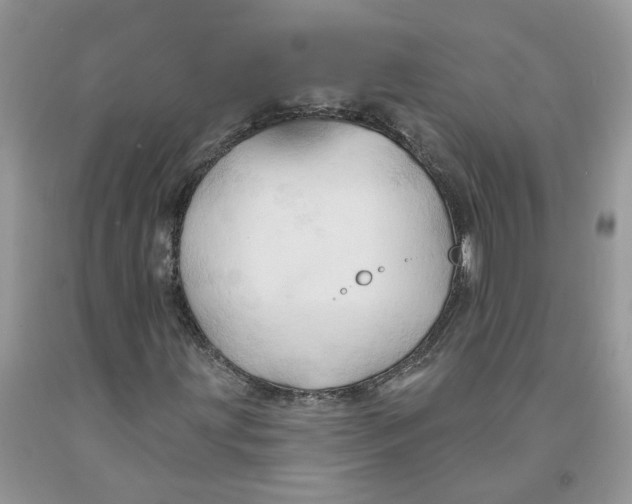 X0000091291203200709071025