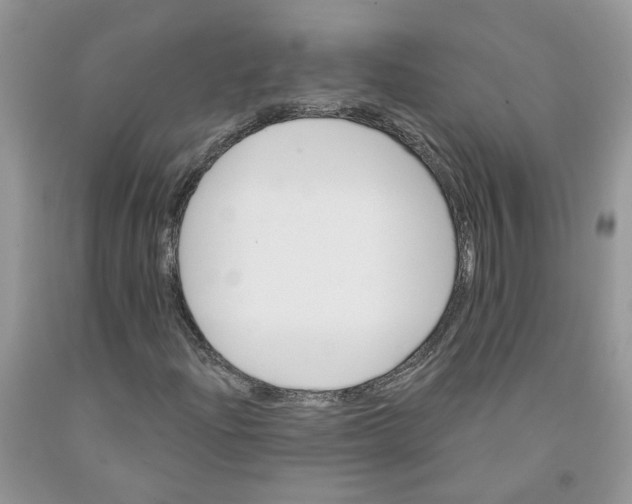 X0000091291204200709071025