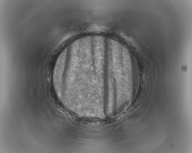 X0000091291206200709071025