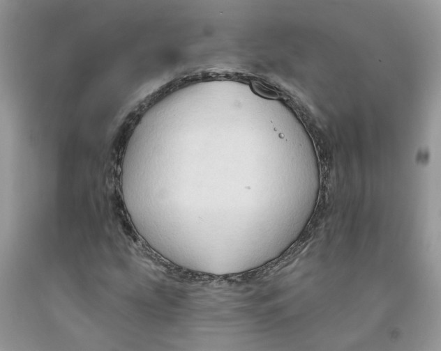 X0000091291207200709071025