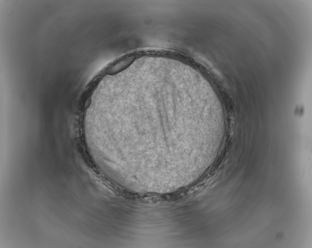 X0000091291208200709071025