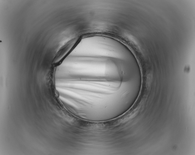 X0000091291210200709071025