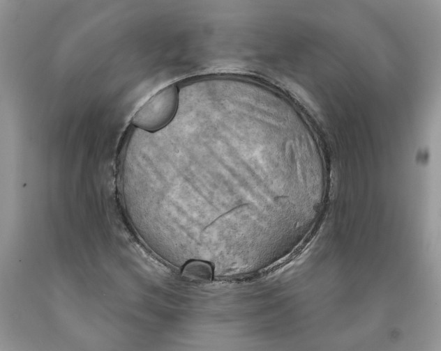 X0000091291212200709071025