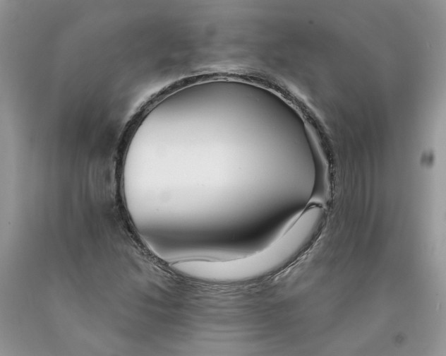 X0000091291214200709071025