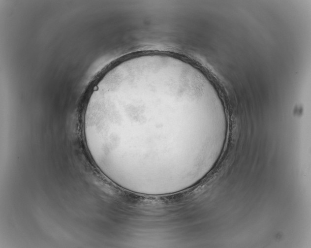 X0000091291215200709071025