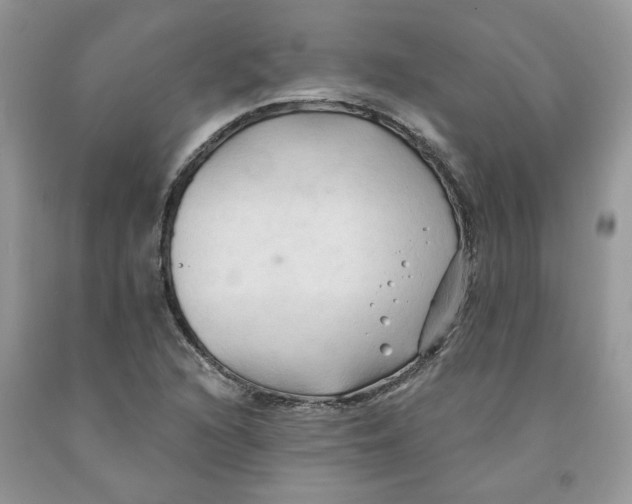 X0000091291216200709071025