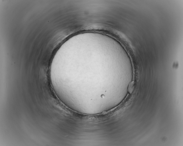 X0000091291217200709071025