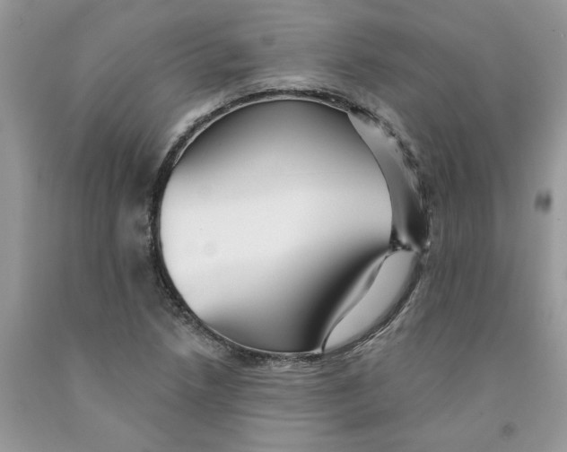 X0000091291218200709071025