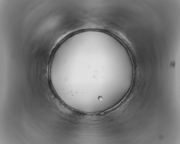 X0000091291220200709071025