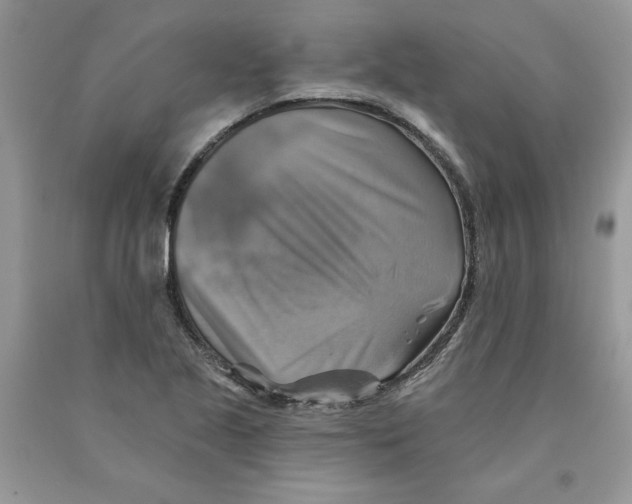 X0000091291221200709071025