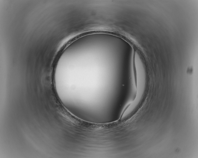 X0000091291222200709071025