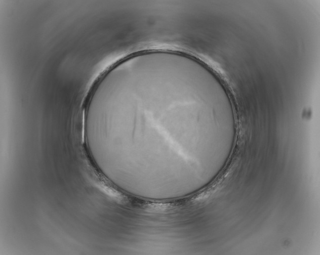 X0000091291223200709071025