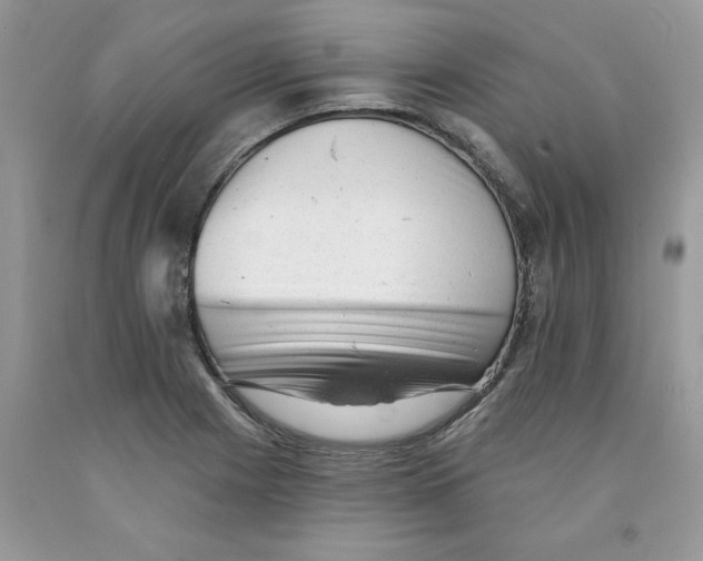 X0000091291225200709071025