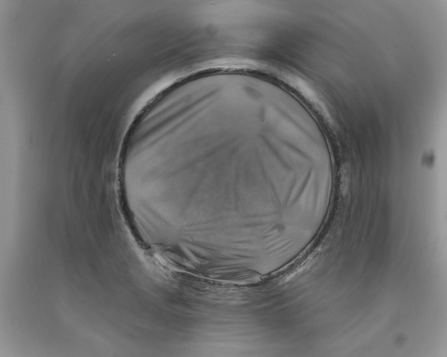 X0000091291229200709071025