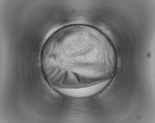 X0000091291230200709071025