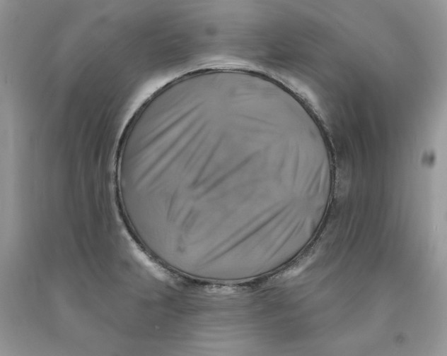 X0000091291231200709071025