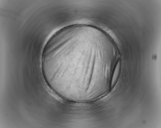 X0000091291232200709071025