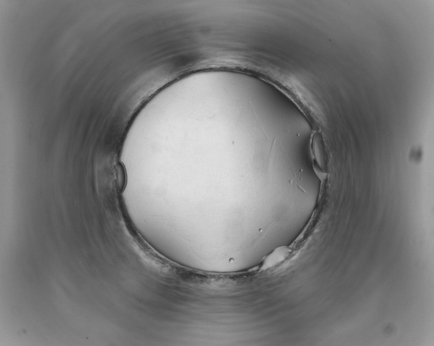 X0000091291233200709071025