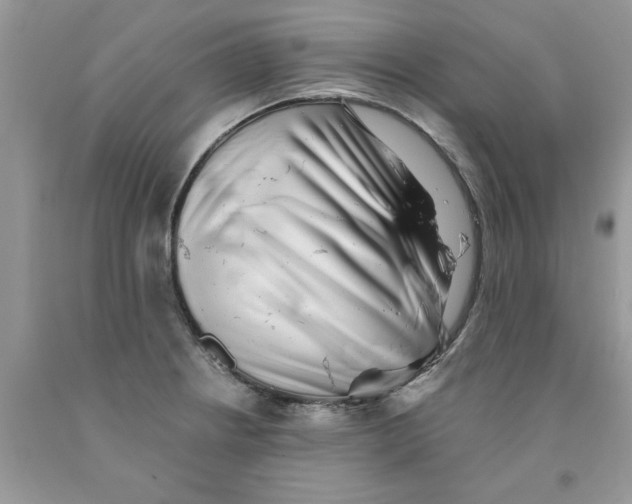 X0000091291234200709071025