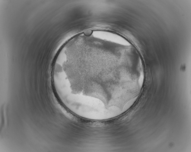 X0000091291235200709071025