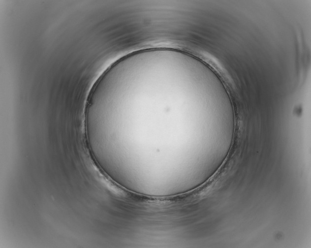 X0000091291236200709071025