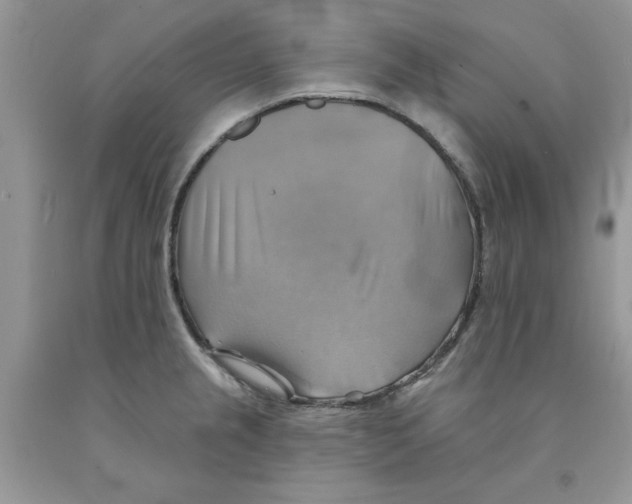 X0000091291237200709071025