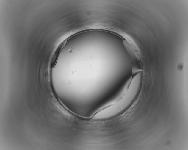 X0000091291238200709071025