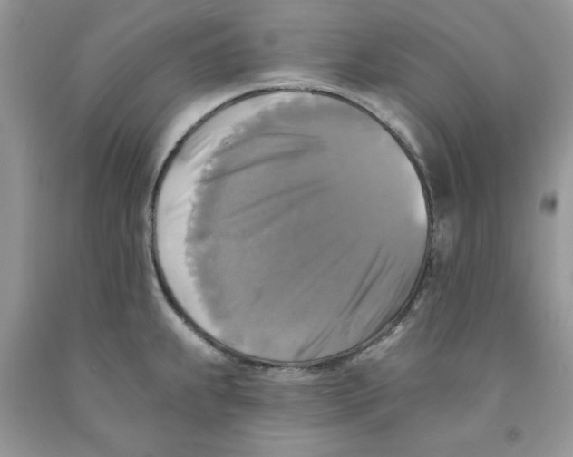 X0000091291239200709071025