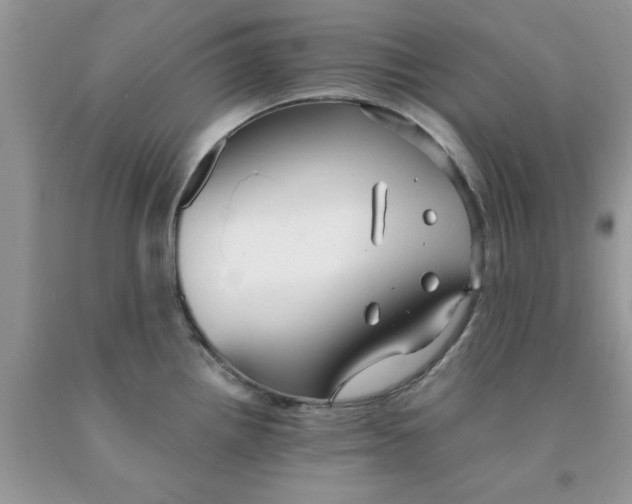 X0000091291242200709071025