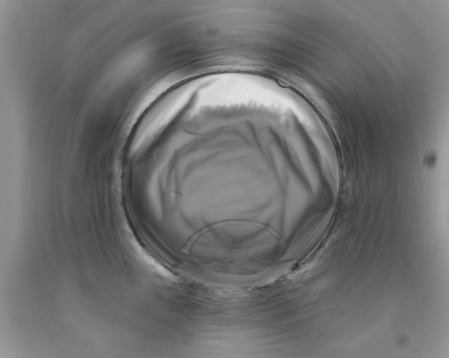 X0000091291243200709071025