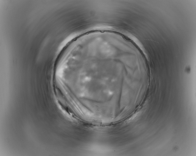 X0000091291245200709071025