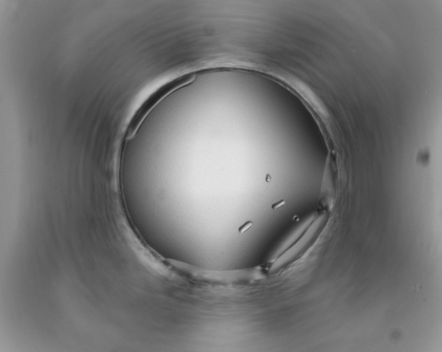 X0000091291246200709071025