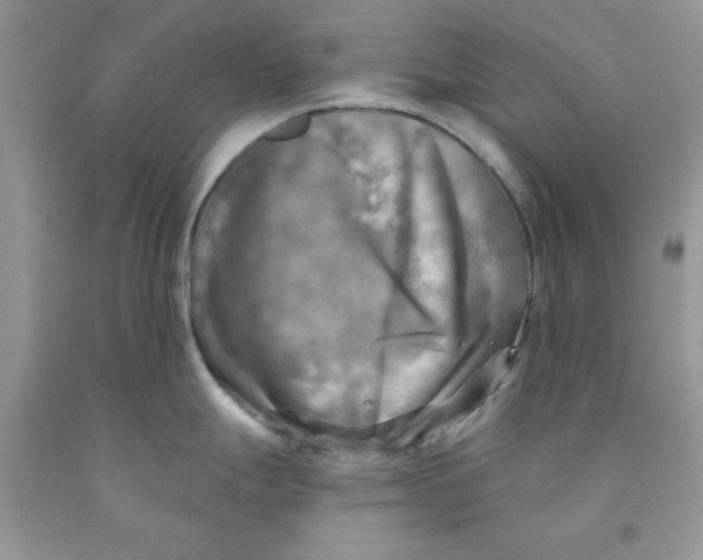 X0000091291247200709071025