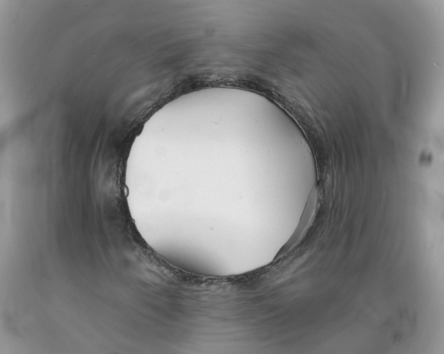 X0000091291250200709071024