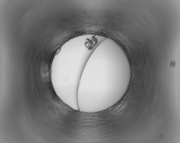 X0000091291252200709071024