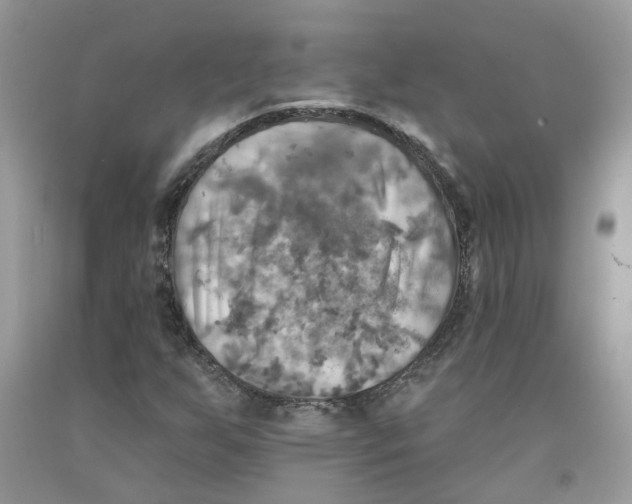 X0000091291255200709071024