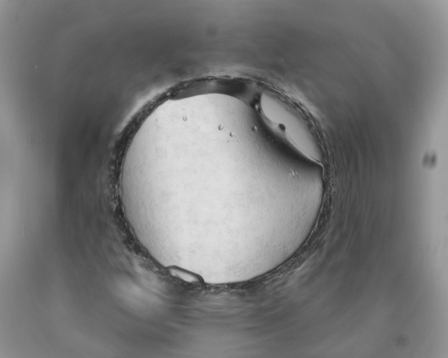 X0000091291256200709071024