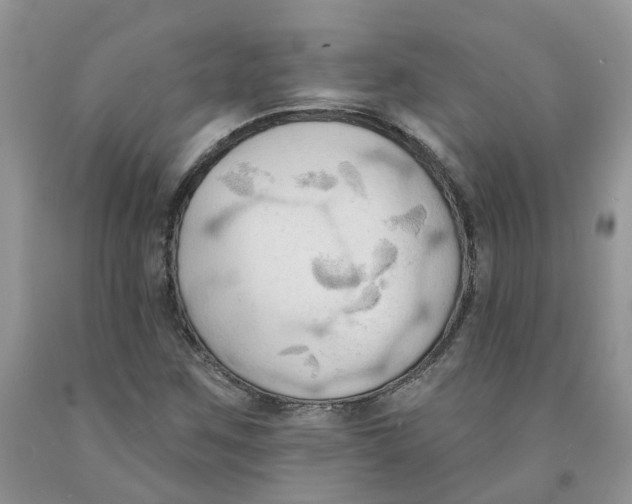 X0000091291259200709071024