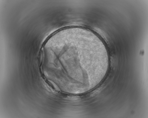 X0000091291260200709071024