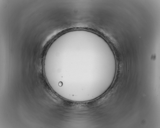 X0000091291262200709071024