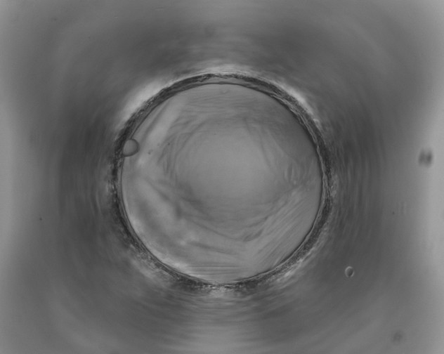 X0000091291263200709071024