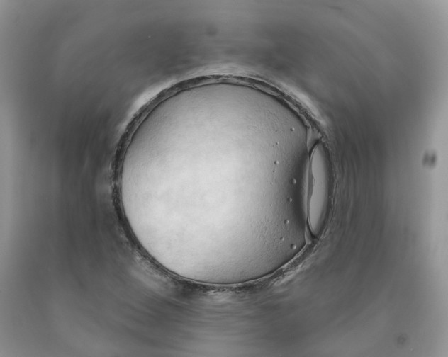 X0000091291264200709071024