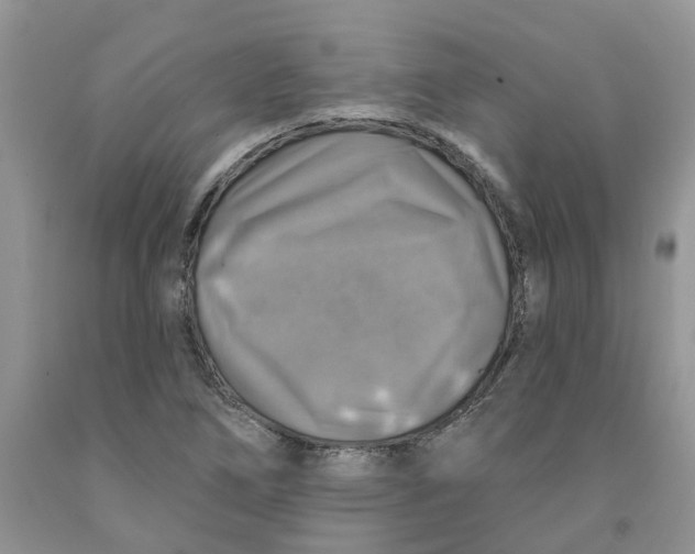 X0000091291266200709071024