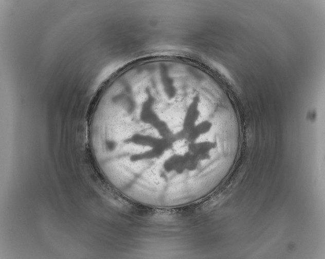 X0000091291267200709071024