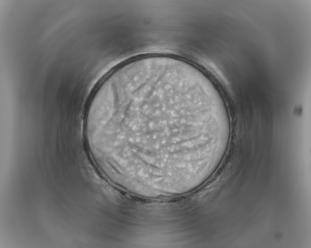 X0000091291268200709071024