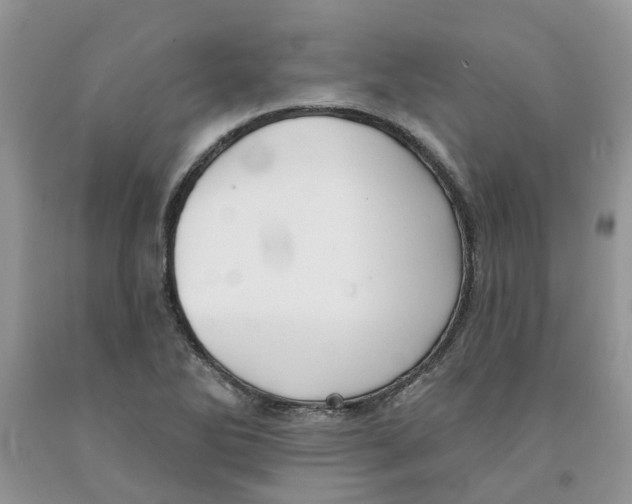 X0000091291270200709071024