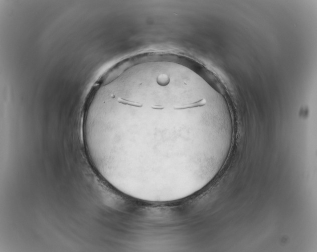 X0000091291272200709071024