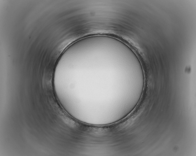 X0000091291273200709071024